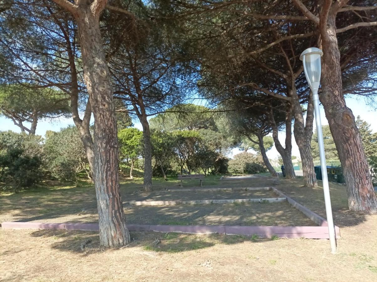 Lara 3 - T2 Loggia Piscine 2 Lits Doubles Parking Pres Du Centre-Port Et Ile Loisirs Daire Agde Dış mekan fotoğraf